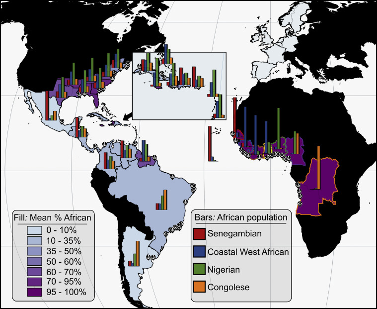 DNA study traces the 'genetic consequences' of the trans-Atlantic slave trade